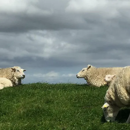 Beachhouse Σπίτι διακοπών *