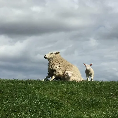 Beachhouse Holiday home *