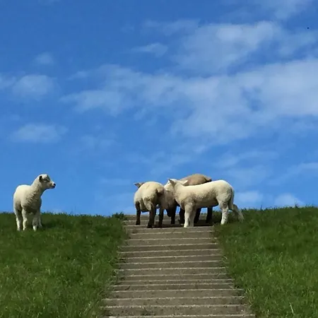 Beachhouse * Tossens