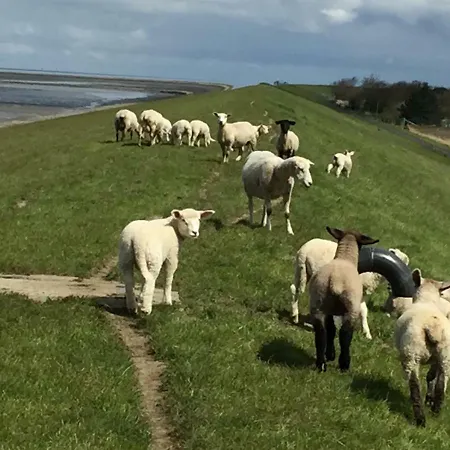 Σπίτι διακοπών Beachhouse *