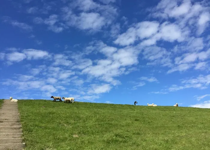 Hébergement de vacances Beachhouse