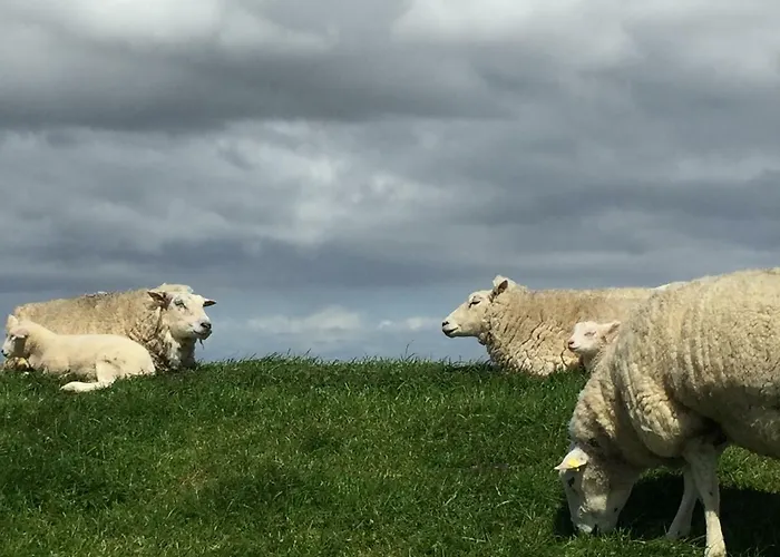 Beachhouse Nyaraló *
