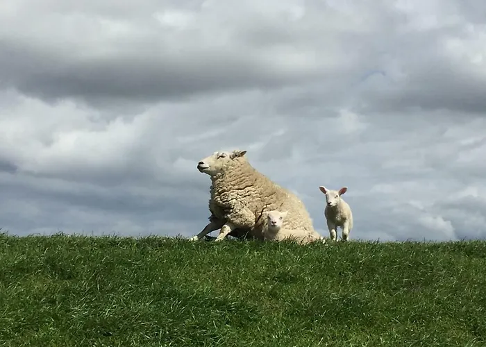 Beachhouse Hébergement de vacances *