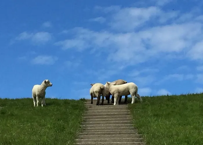 Beachhouse * Tossens