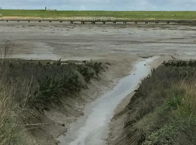 Beachhouse * Tossens