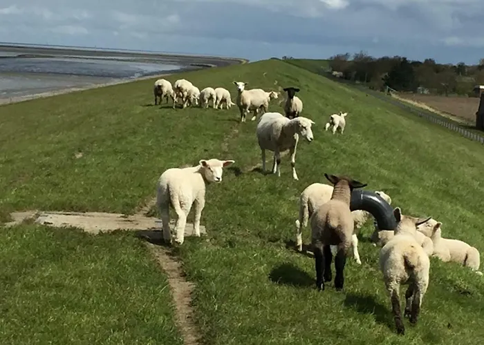 Nyaraló Beachhouse *